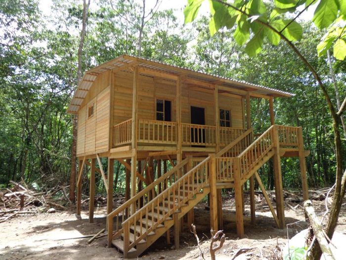 Desain rumah panggung kayu sederhana